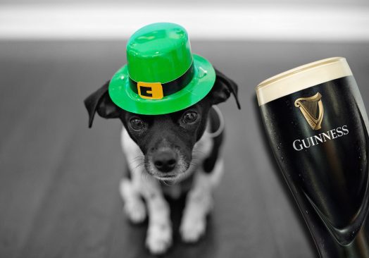 St Patricks Fundraiser