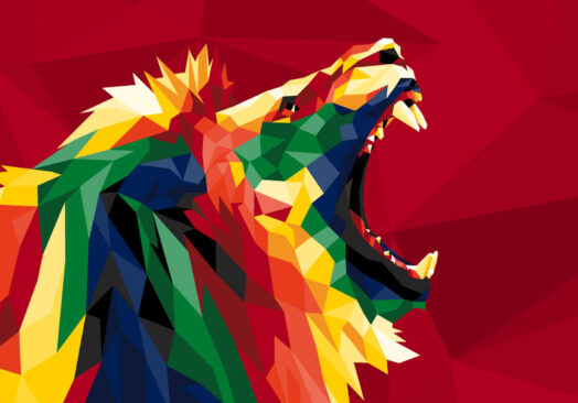 The British and Irish lions Tour – Sat 24th July