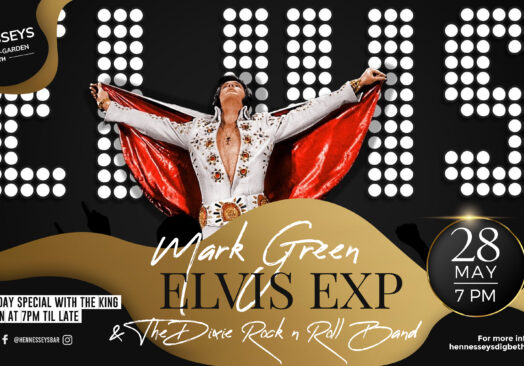 Elvis Tribute Mark Green and the Dixie Rock and Roll Band